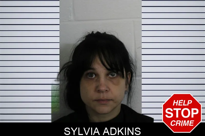 Sylvia Adkins mugshot