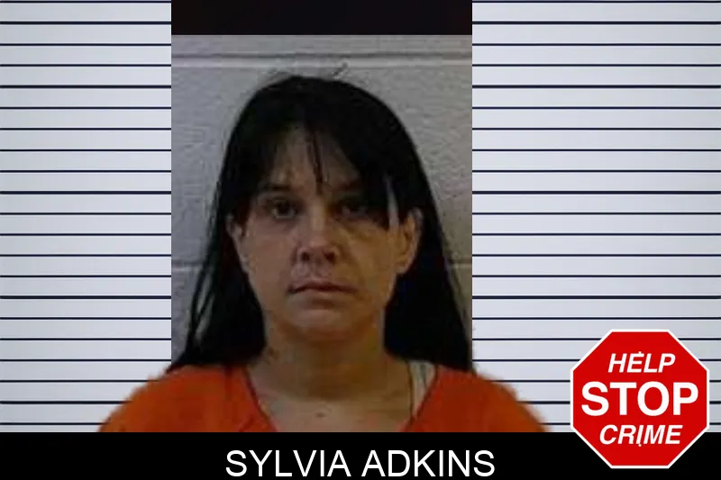 Sylvia Adkins mugshot