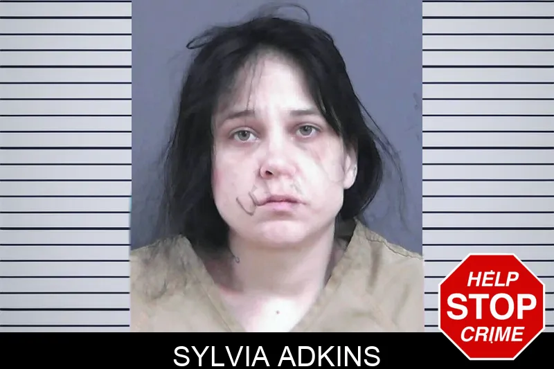 Sylvia Adkins mugshot