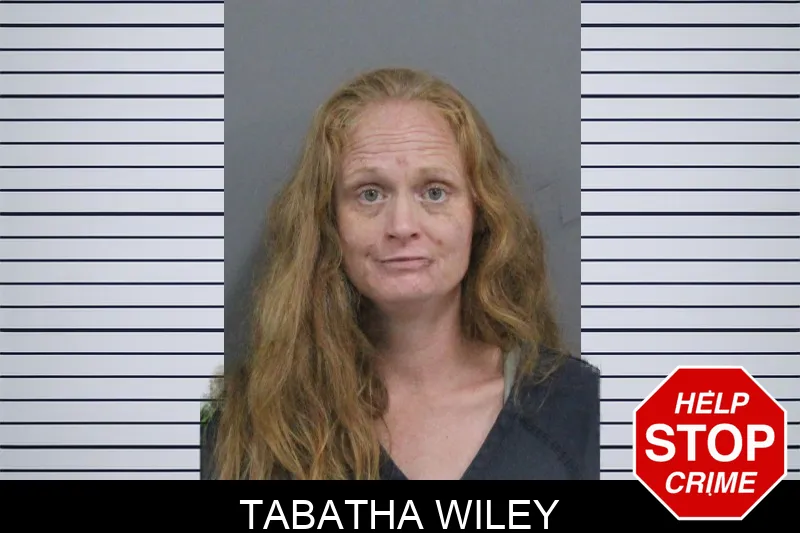 Tabatha Wiley mugshot