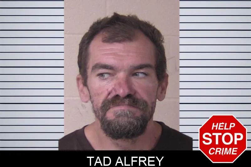 Tad Alfrey mugshot