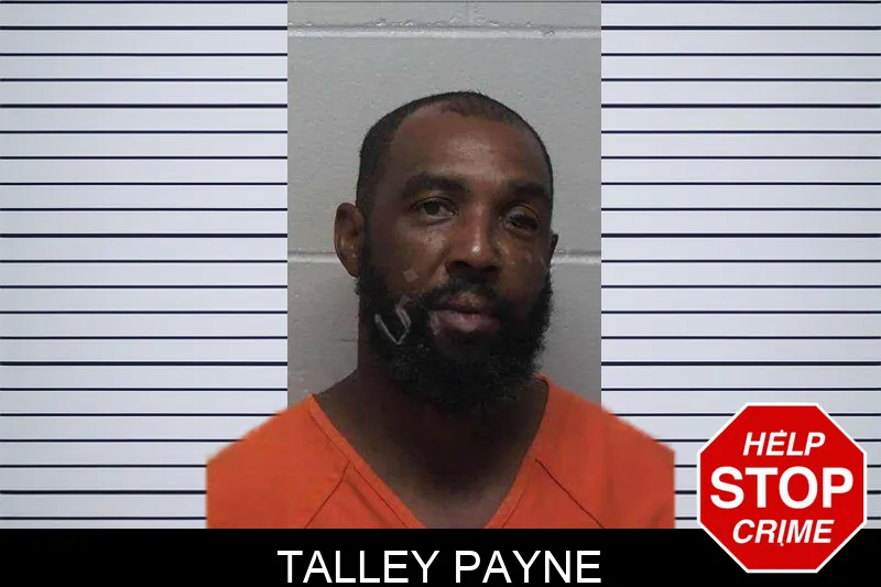 Talley Payne mugshot