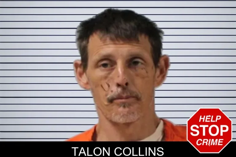 Talon Collins