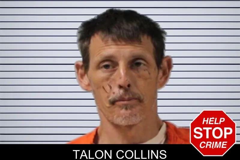 Talon Collins mugshot – Seminole County , Georgia Talon Collins mugshot