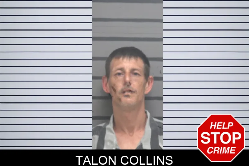 Talon Collins mugshot