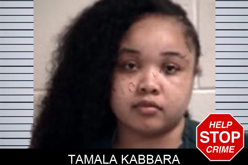Tamala Kabbara mugshot – Henry County , Georgia Tamala Kabbara mugshot
