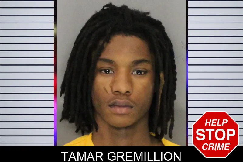 Tamar Gremillion mugshot