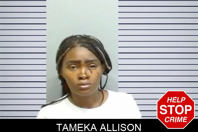 Tameka Allison mugshot