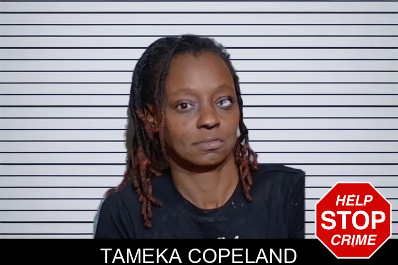 Tameka Copeland mugshot
