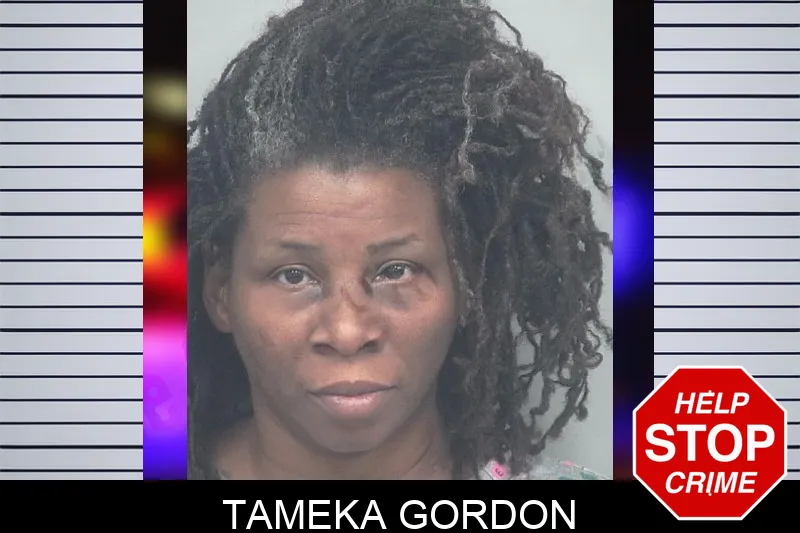 Tameka Gordon mugshot