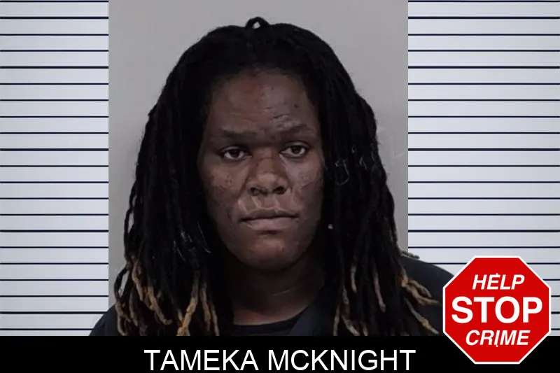 Tameka McKnight mugshot