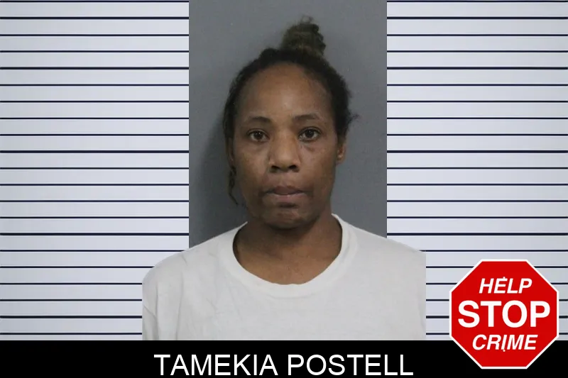 Tamekia Postell mugshot – Catoosa County , Georgia Tamekia Postell mugshot