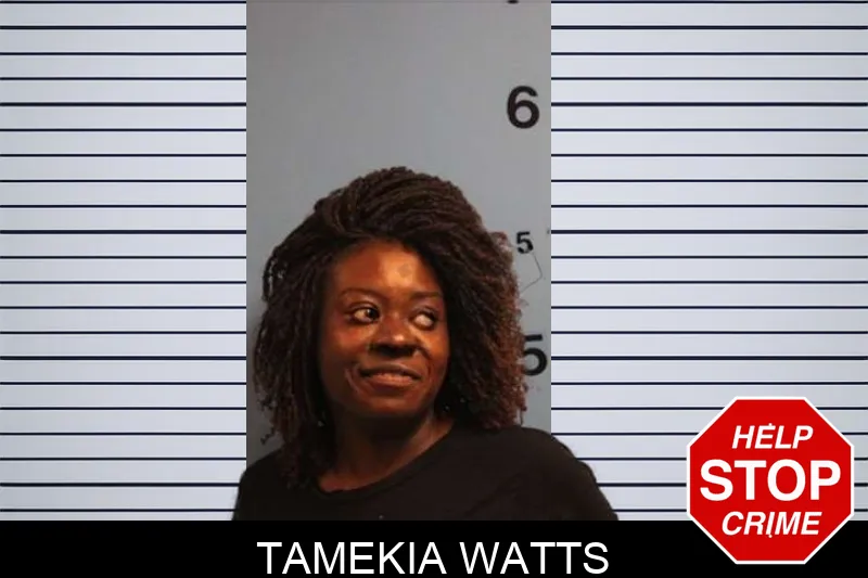 Tamekia Watts mugshot