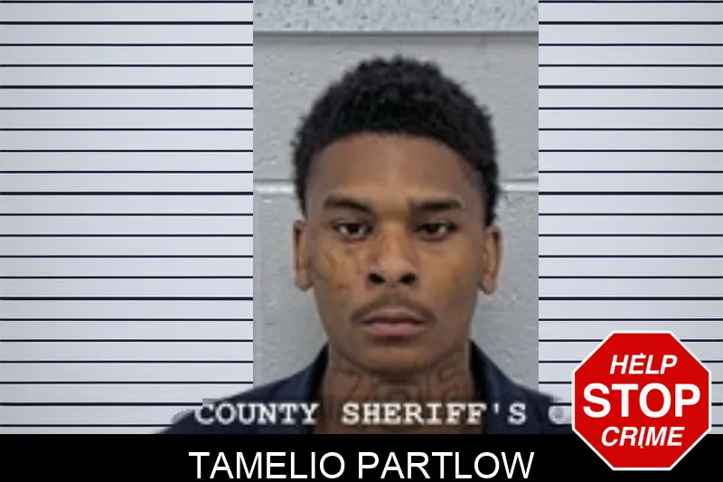 Tamelio Partlow mugshot