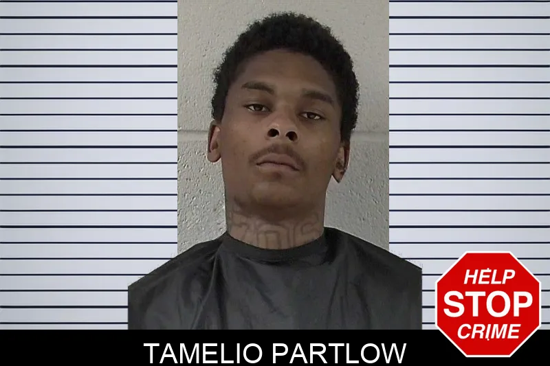Tamelio Partlow mugshot