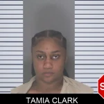 Tamia Clark mugshot