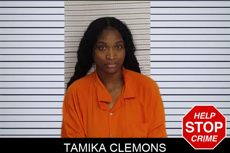 Tamika Clemons mugshot