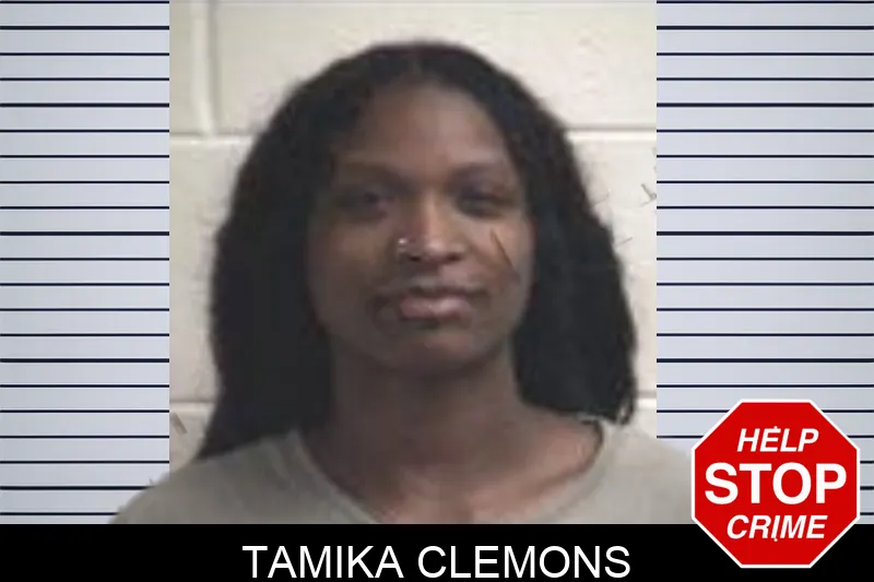 Tamika Clemons mugshot
