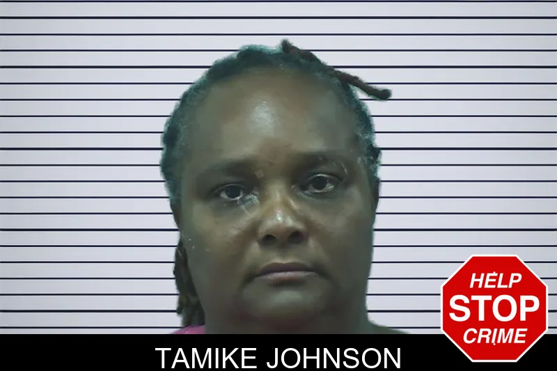 Tamike Johnson mugshot