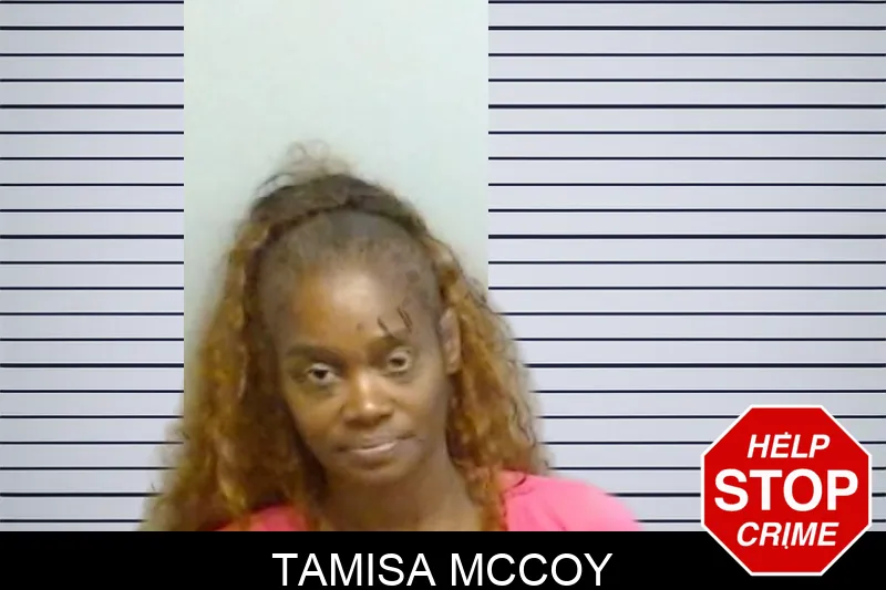 Tamisa McCoy mugshot – Fulton County , Georgia Tamisa McCoy mugshot