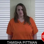 Tamisha Pittman mugshot – Fannin County , Georgia Tamisha Pittman mugshot