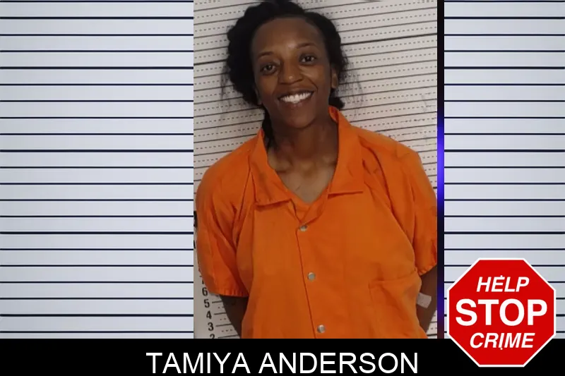 Tamiya Anderson mugshot