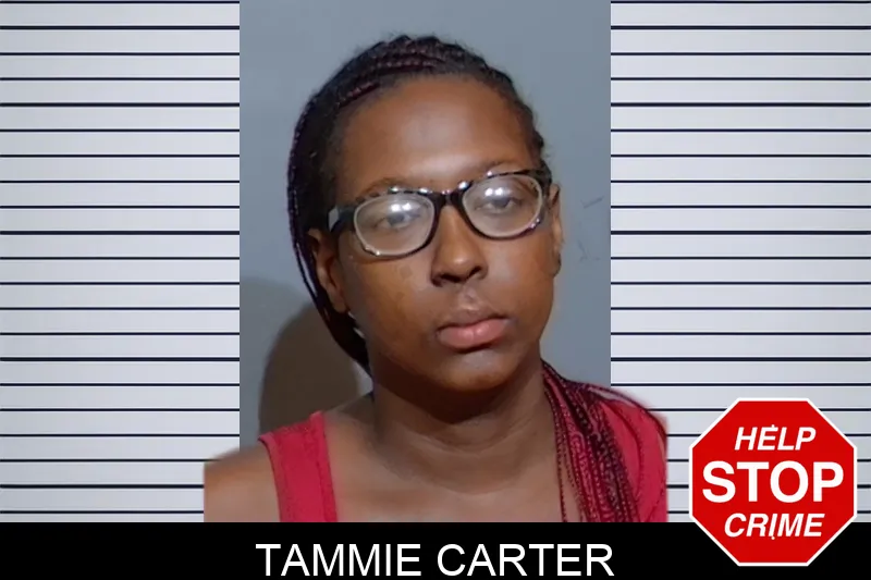 Tammie Carter mugshot – Glynn County , Georgia Tammie Carter mugshot