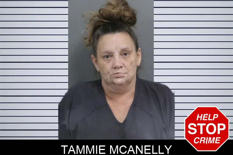 Tammie McAnelly mugshot
