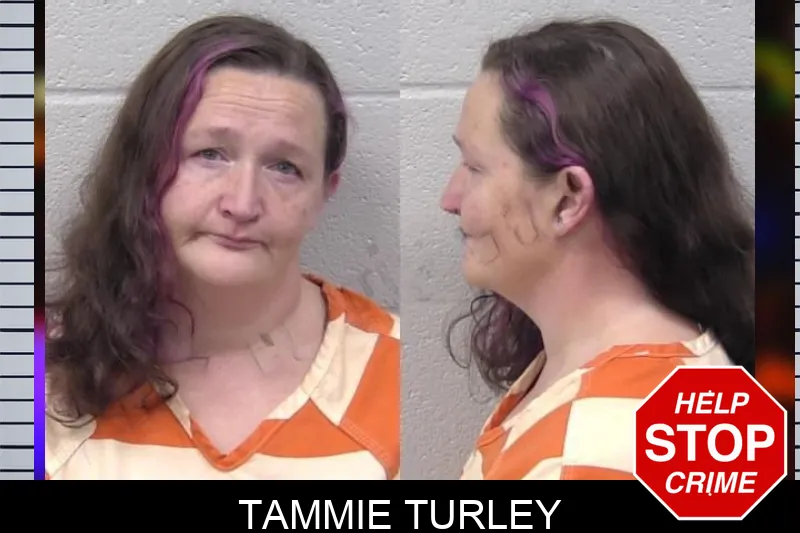 Tammie Turley mugshot