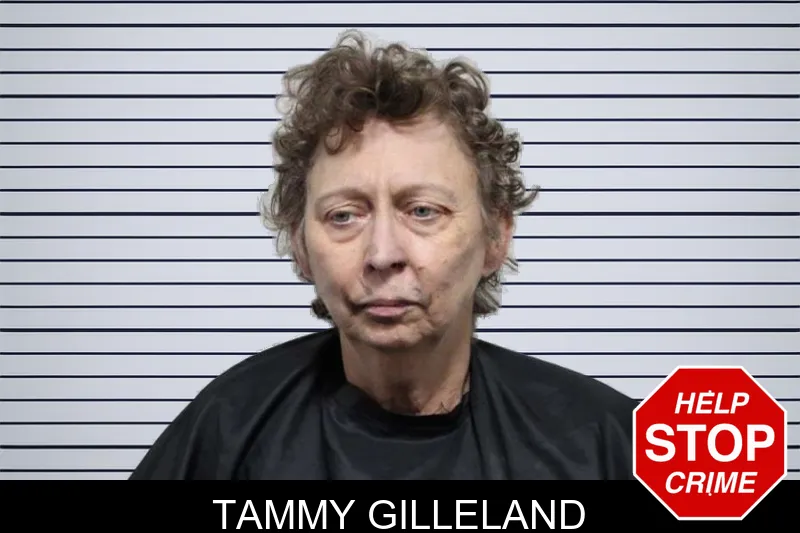 Tammy Gilleland mugshot – Habersham County , Georgia Tammy Gilleland mugshot