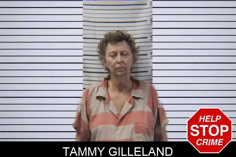 Tammy Gilleland mugshot