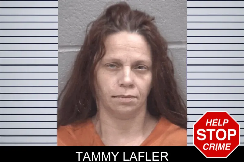 Tammy Lafler mugshot