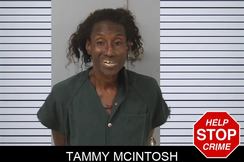 Tammy McIntosh mugshot