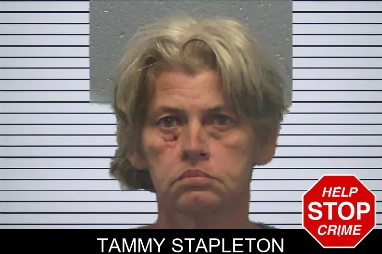 Tammy Stapleton