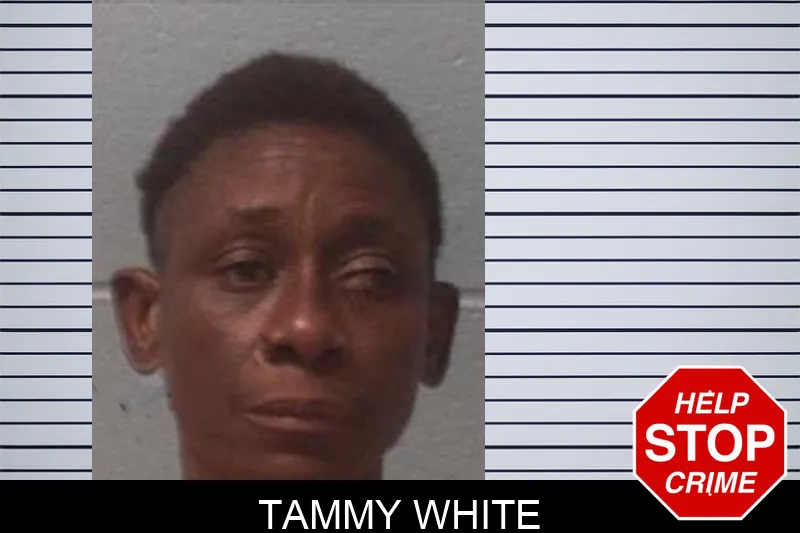 Tammy White mugshot
