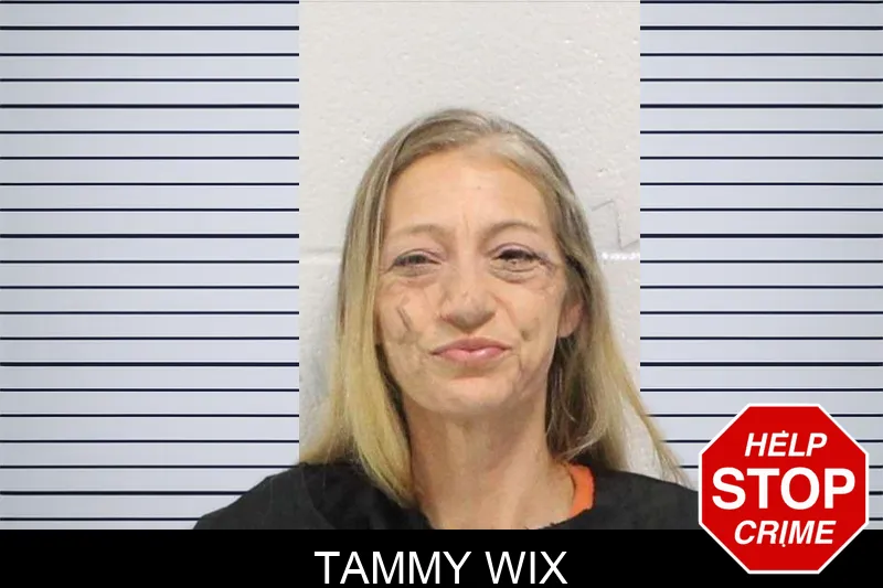 Tammy Wix mugshot