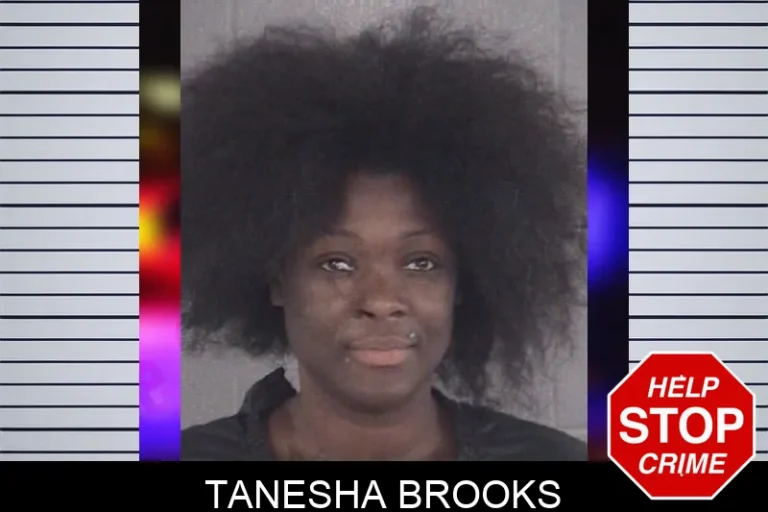 Tanesha Brooks mugshot – Spalding County , Georgia Tanesha Brooks
