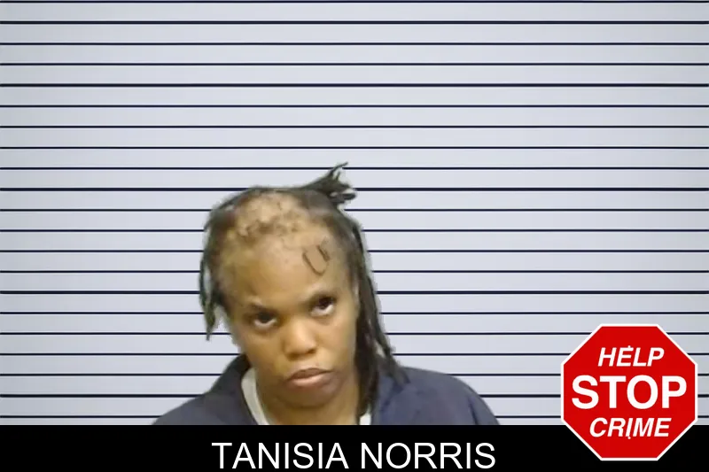 Tanisia Norris mugshot – Fulton County , Georgia Tanisia Norris mugshot