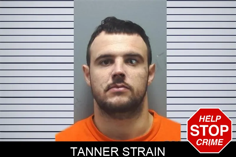 Tanner Strain mugshot