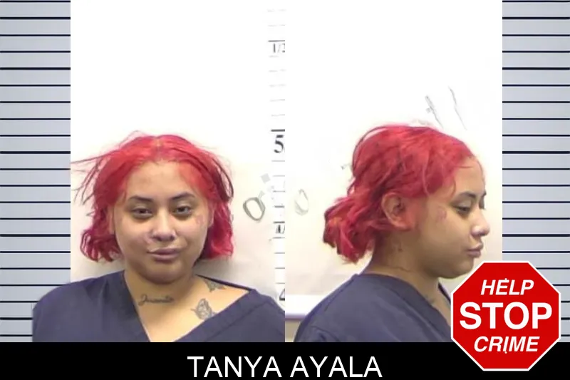 Tanya Ayala mugshot