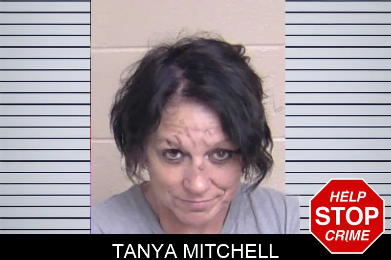 Tanya Mitchell mugshot
