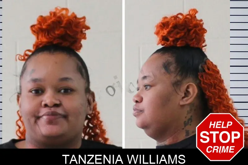 Tanzenia Williams mugshot