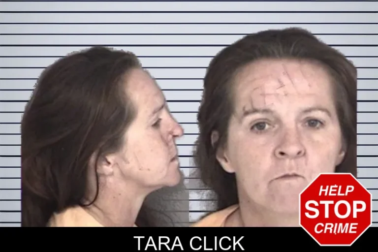 Tara Click mugshot – Barrow County , Georgia Tara Click