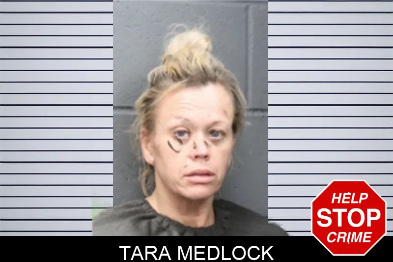 Tara Medlock mugshot