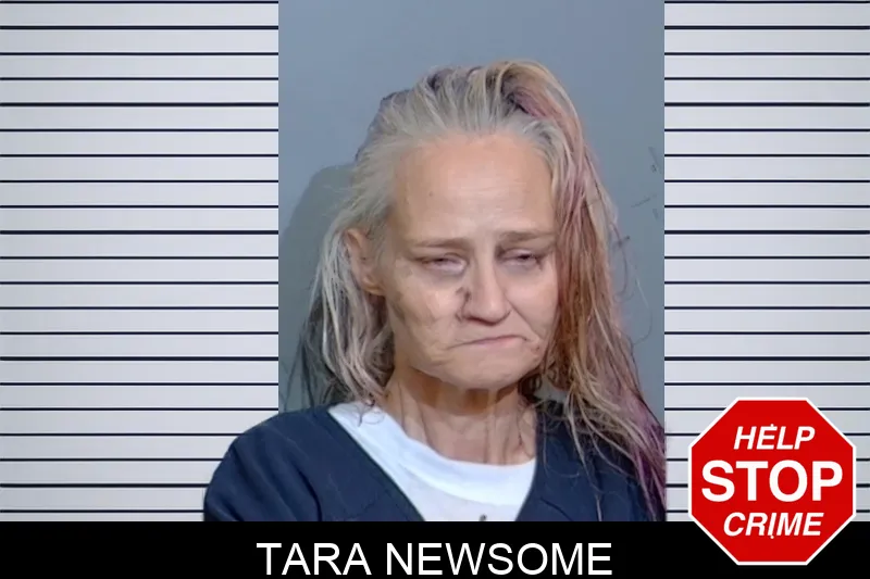 Tara Newsome mugshot – Glynn County , Georgia Tara Newsome mugshot