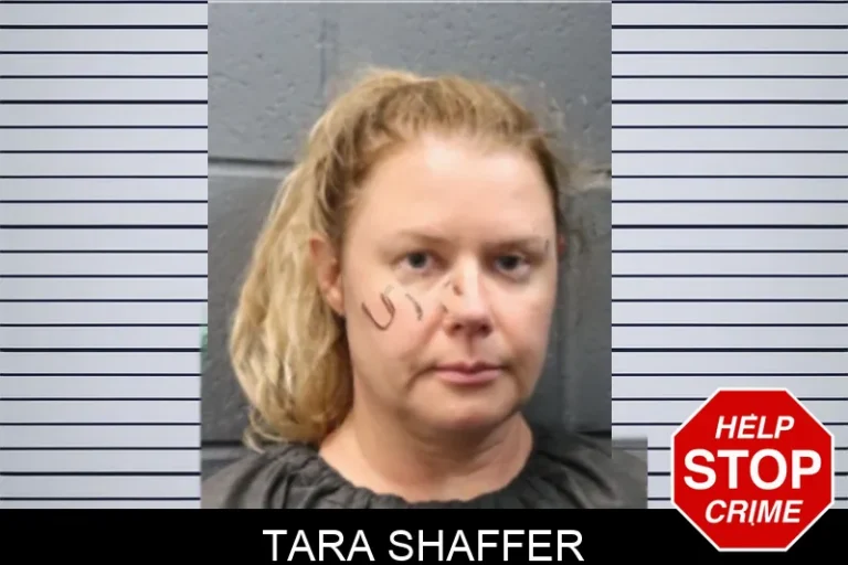 Tara Shaffer