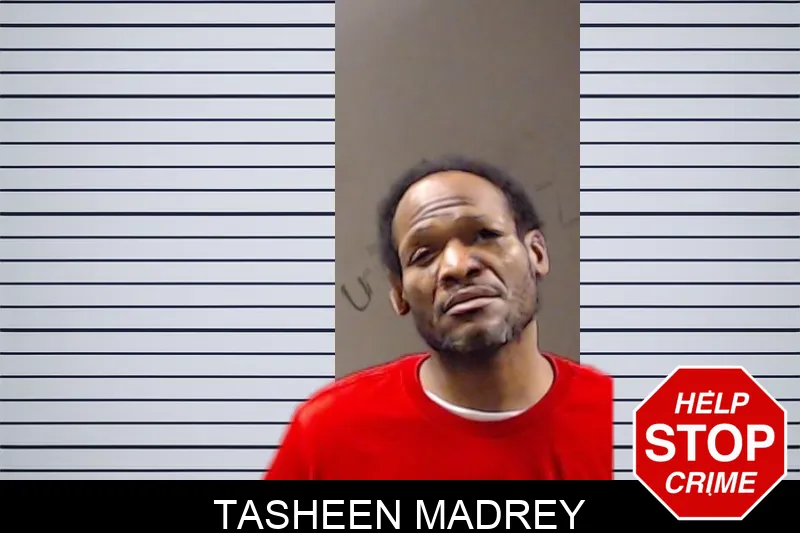 Tasheen Madrey mugshot