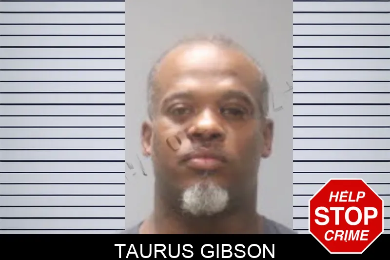 Taurus Gibson mugshot