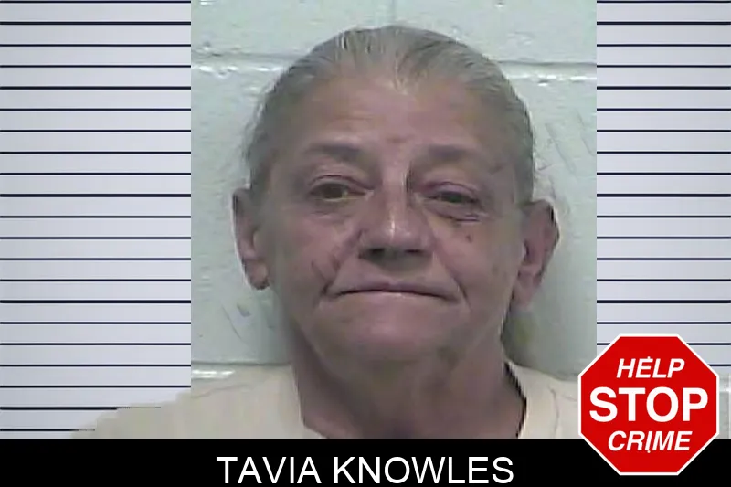Tavia Knowles mugshot – Dawson County , Georgia Tavia Knowles mugshot