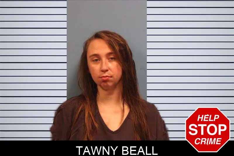 Tawny Beall mugshot – Monroe County , Georgia Tawny Beall mugshot